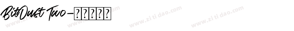 BitDust Two字体转换